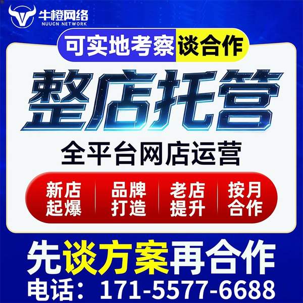 江阴电商代运营