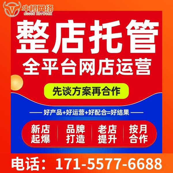 江阴电商代运营