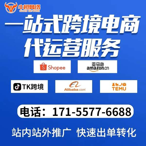 江阴电商代运营